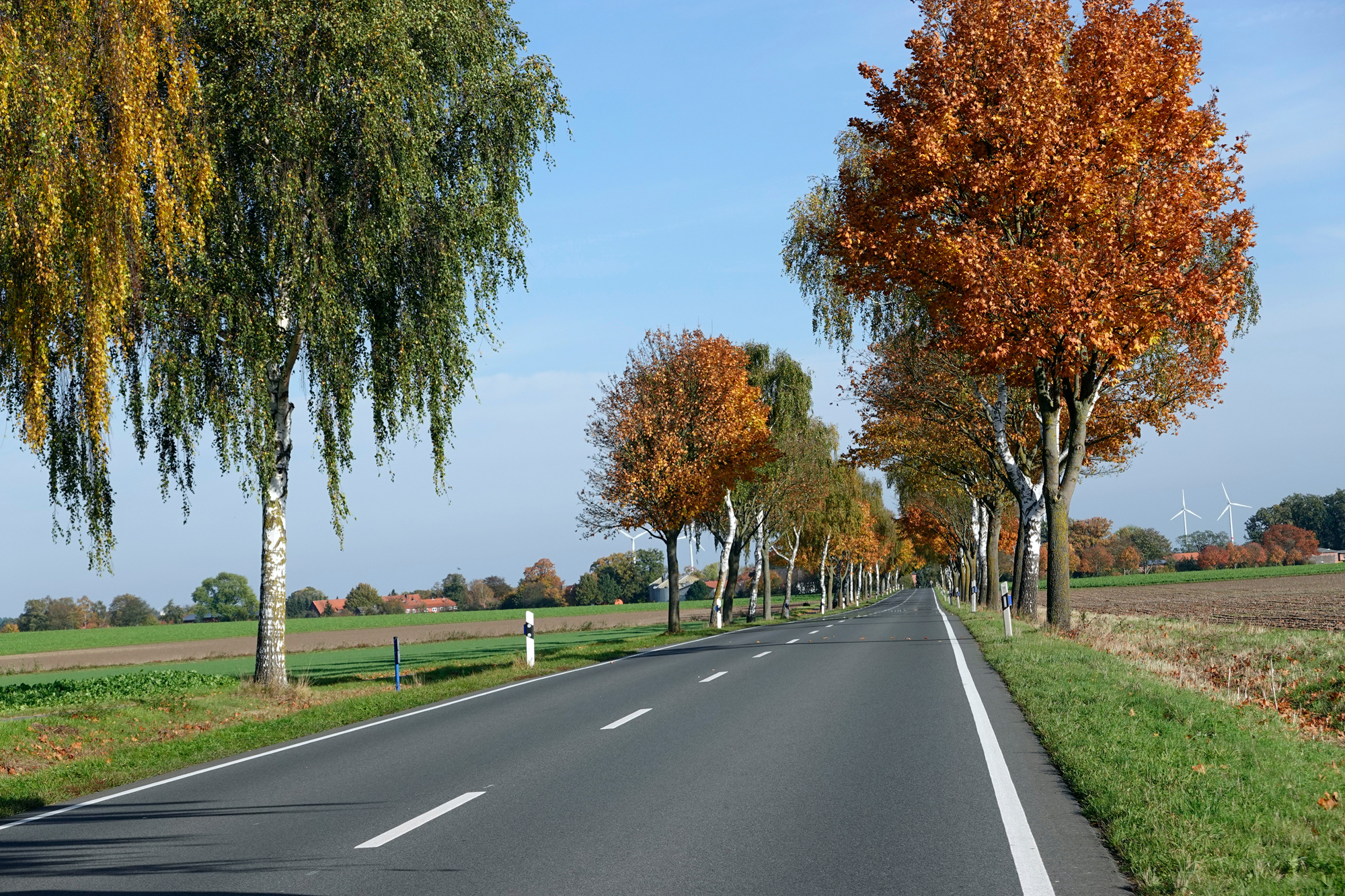 Stadtgrün und Mobilität: Lösungen, die für Kaarst funktionieren